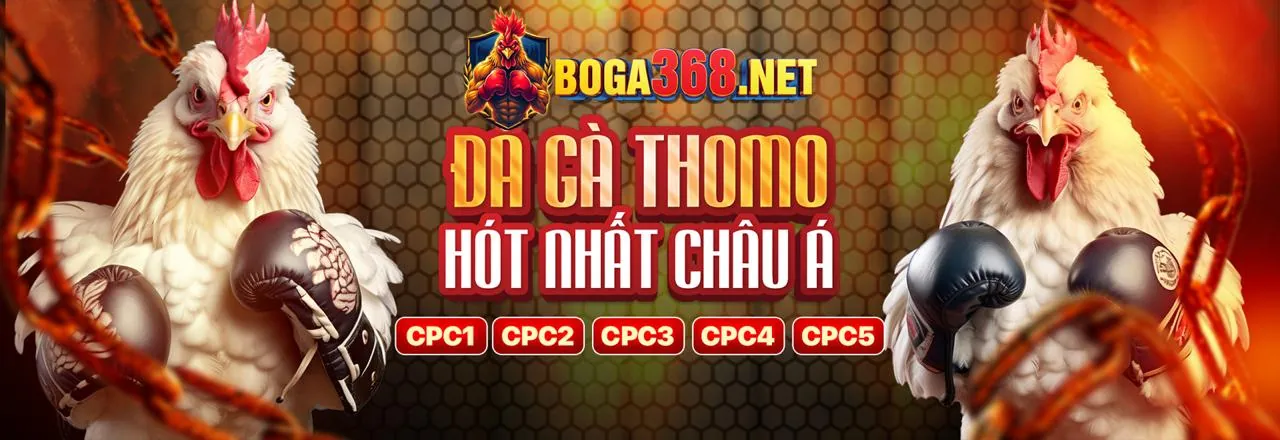 Đá Gà Trực Tuyến a8bet nhà cái